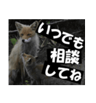 不安を癒し良いエネルギーを発信しよう★（個別スタンプ：24）