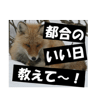 不安を癒し良いエネルギーを発信しよう★（個別スタンプ：25）