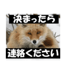 不安を癒し良いエネルギーを発信しよう★（個別スタンプ：26）