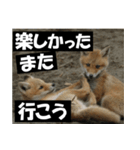 不安を癒し良いエネルギーを発信しよう★（個別スタンプ：27）