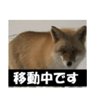 不安を癒し良いエネルギーを発信しよう★（個別スタンプ：28）