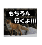 不安を癒し良いエネルギーを発信しよう★（個別スタンプ：29）