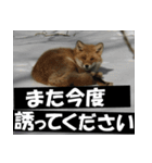 不安を癒し良いエネルギーを発信しよう★（個別スタンプ：30）