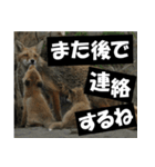 不安を癒し良いエネルギーを発信しよう★（個別スタンプ：31）