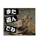 不安を癒し良いエネルギーを発信しよう★（個別スタンプ：32）