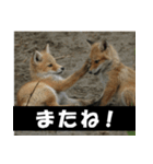 不安を癒し良いエネルギーを発信しよう★（個別スタンプ：33）