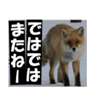 不安を癒し良いエネルギーを発信しよう★（個別スタンプ：34）