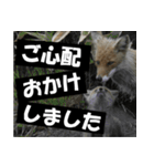 不安を癒し良いエネルギーを発信しよう★（個別スタンプ：36）