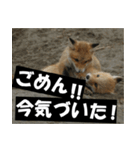 不安を癒し良いエネルギーを発信しよう★（個別スタンプ：37）