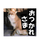 不安を癒し良いエネルギーを発信しよう★（個別スタンプ：38）