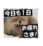 不安を癒し良いエネルギーを発信しよう★（個別スタンプ：39）