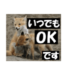 不安を癒し良いエネルギーを発信しよう★（個別スタンプ：40）