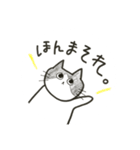 ゆるねこ。わりと大阪弁。（個別スタンプ：1）