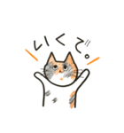 ゆるねこ。わりと大阪弁。（個別スタンプ：6）