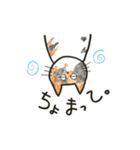 ゆるねこ。わりと大阪弁。（個別スタンプ：11）