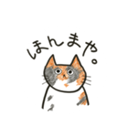 ゆるねこ。わりと大阪弁。（個別スタンプ：13）
