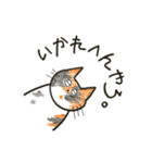 ゆるねこ。わりと大阪弁。（個別スタンプ：17）