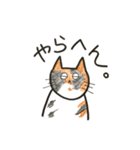 ゆるねこ。わりと大阪弁。（個別スタンプ：38）