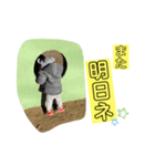 うーぴースタンプ（個別スタンプ：2）