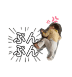うーぴースタンプ（個別スタンプ：13）