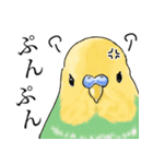 インコなんです 番外編（個別スタンプ：25）