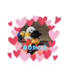 福とにこのスタンプ（個別スタンプ：2）