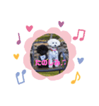 福とにこのスタンプ（個別スタンプ：5）