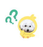 福とにこのスタンプ（個別スタンプ：10）