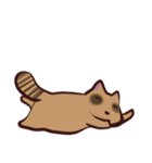あらいぐま暮らし（個別スタンプ：1）