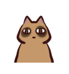 あらいぐま暮らし（個別スタンプ：15）