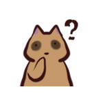 あらいぐま暮らし（個別スタンプ：16）