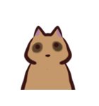 あらいぐま暮らし（個別スタンプ：19）