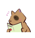 あらいぐま暮らし（個別スタンプ：20）