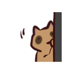 あらいぐま暮らし（個別スタンプ：22）