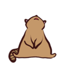 あらいぐま暮らし（個別スタンプ：24）