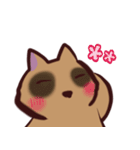 あらいぐま暮らし（個別スタンプ：29）