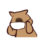 あらいぐま暮らし（個別スタンプ：33）