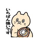 ねこプロレス（個別スタンプ：1）