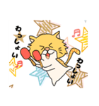 わっしょい猫（個別スタンプ：1）