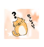 わっしょい猫（個別スタンプ：4）