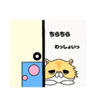 わっしょい猫（個別スタンプ：6）