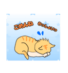 わっしょい猫（個別スタンプ：7）
