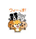 いぬっちフレンズ！ わんフレーズ（個別スタンプ：37）