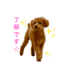 カトりんの日常♪①（個別スタンプ：3）