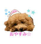 カトりんの日常♪①（個別スタンプ：8）