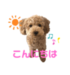 カトりんの日常♪①（個別スタンプ：15）