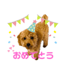 カトりんの日常♪①（個別スタンプ：17）