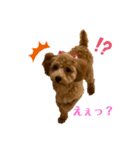 カトりんの日常♪①（個別スタンプ：19）