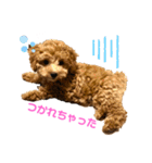 カトりんの日常♪①（個別スタンプ：21）