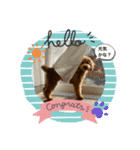 カトりんの日常♪③（個別スタンプ：4）